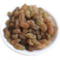 Factory Price Black Raisin From Uzbekistan Dried Golden Raisin Black Sultana Raisin